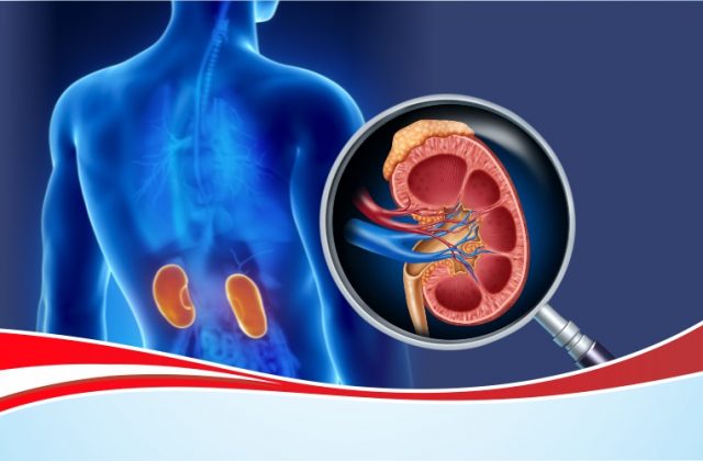Renal Test